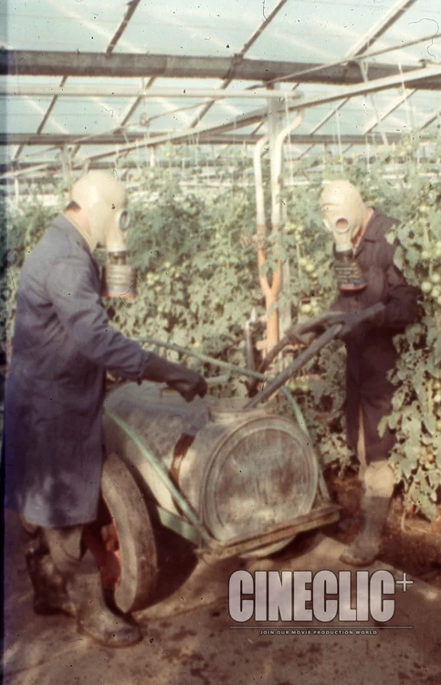 Delavci zaščiteni z maskami FOTO Cineclic