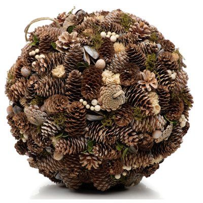 Okrasna viseča krogla Gracie Oaks Assorted Pinecone Velikost: