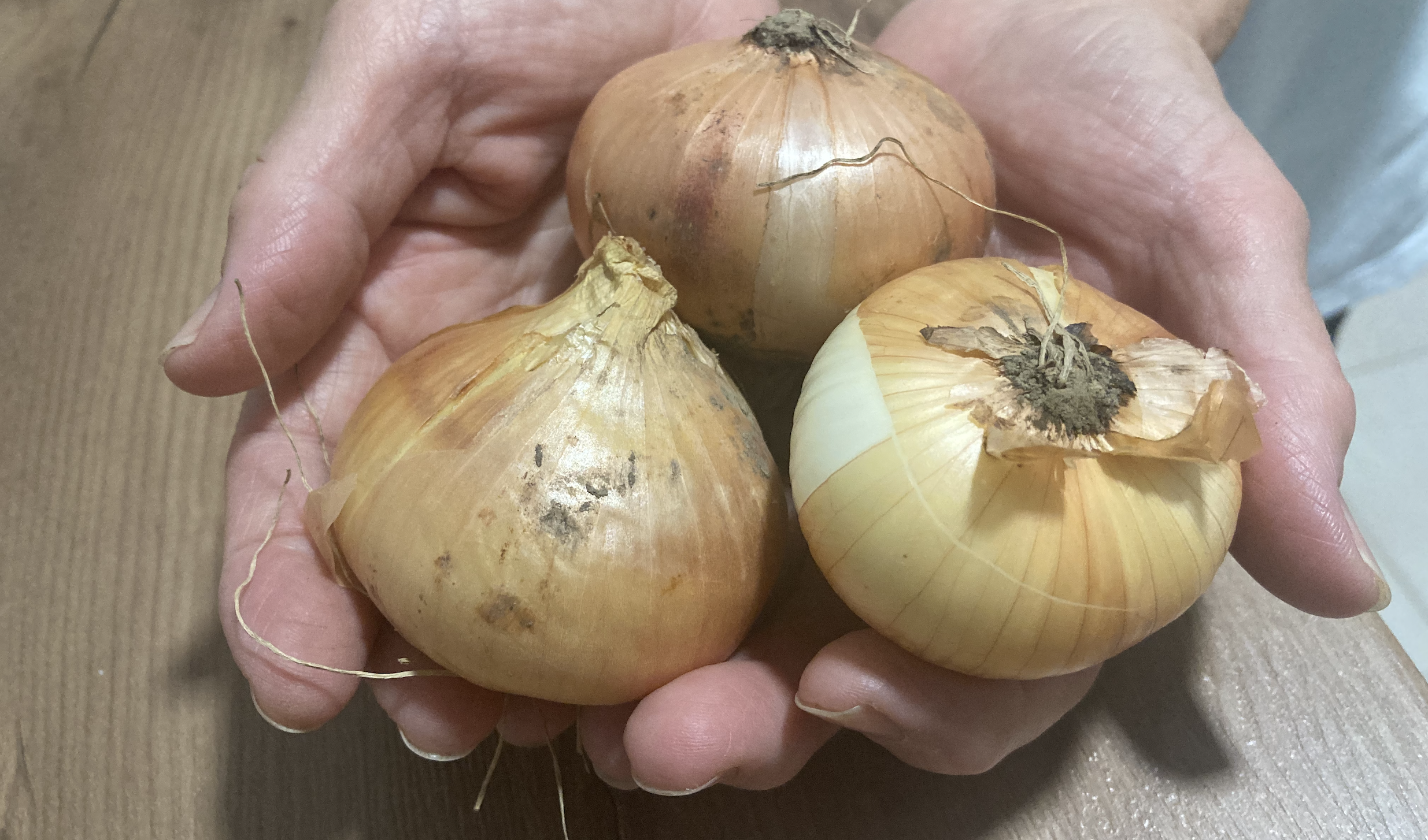 Lekarna vam ne bo svetovala: TRIKI, s katerimi so naše babice znale obvladati vsako bolezen. Ni vam treba čakati več dni, takoj začnejo delovati!